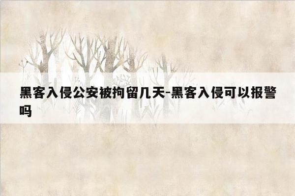黑客入侵公安被拘留几天-黑客入侵可以报警吗