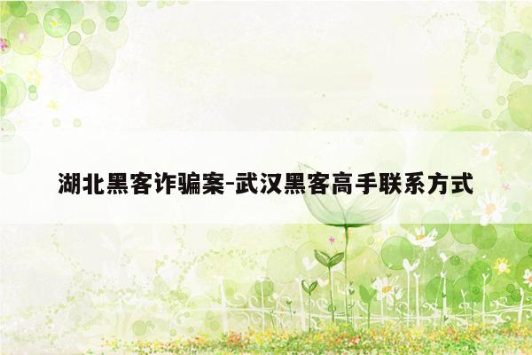 湖北黑客诈骗案-武汉黑客高手联系方式