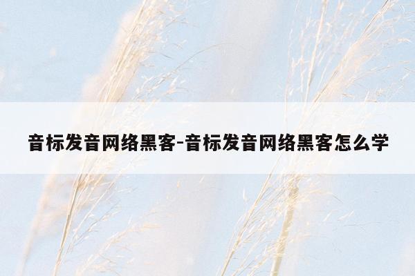 音标发音 *** 黑客-音标发音 *** 黑客怎么学