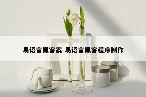 易语言黑客案-易语言黑客程序 ***