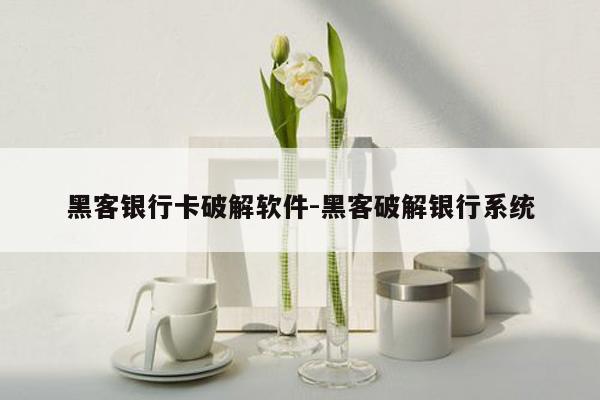 黑客银行卡破解软件-黑客破解银行系统